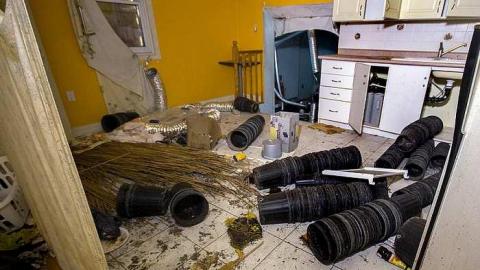 Gone to Pot - IMG_0157s.jpg