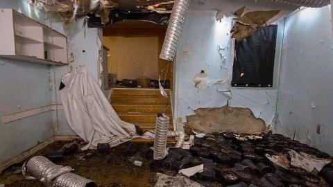 Gone to Pot - IMG_0162s.jpg