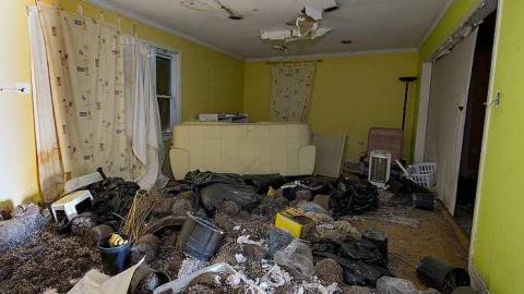 Gone to Pot - IMG_0166s.jpg