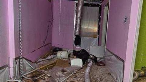 Gone to Pot - IMG_0168s.jpg