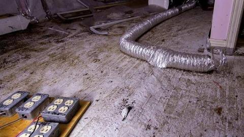 Gone to Pot - IMG_0170s.jpg