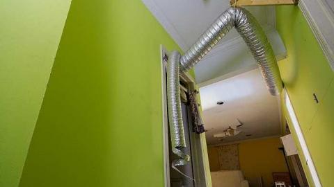 Gone to Pot - IMG_0171s.jpg