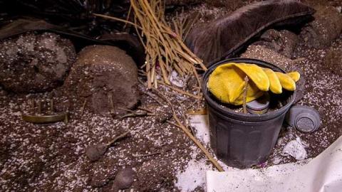 Gone to Pot - IMG_0173s.jpg