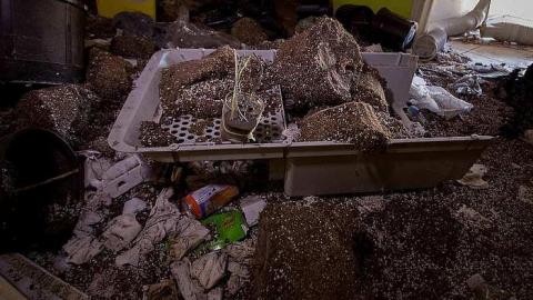 Gone to Pot - IMG_0174s.jpg