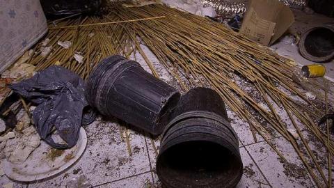 Gone to Pot - IMG_0177s.jpg