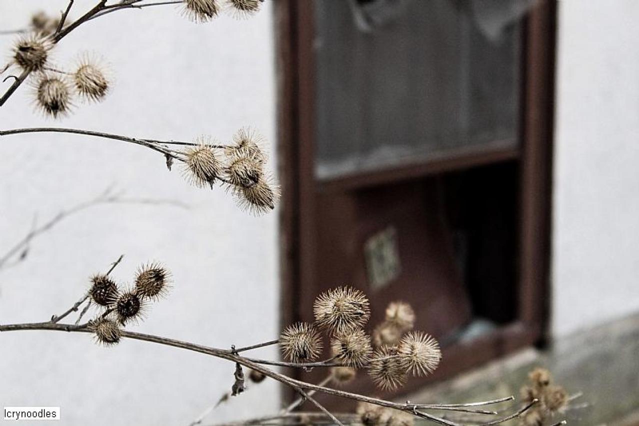 Sad Home - 9DAA5C5E-BF98-40A2-88EC-5B21A283AF2C.jpeg