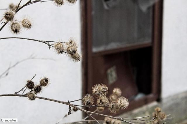 Sad Home - 9DAA5C5E-BF98-40A2-88EC-5B21A283AF2C.jpeg