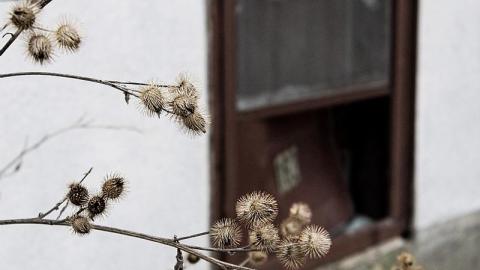 Sad Home - 9DAA5C5E-BF98-40A2-88EC-5B21A283AF2C.jpeg