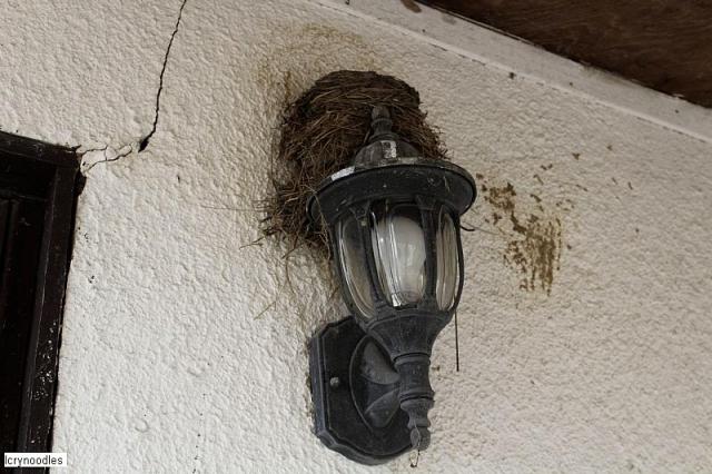 Sad Home - 37340DCE-4DEA-4315-A1EE-9D4637387307.jpeg