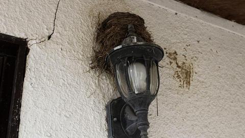 Sad Home - 37340DCE-4DEA-4315-A1EE-9D4637387307.jpeg