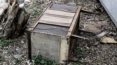 Hoarders - 577D42CD-1874-41F5-9F8B-7ACBA8210437.jpeg