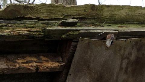 Hoarders - D15C08E9-C72B-45A0-8AB4-865E233D42E2.jpeg