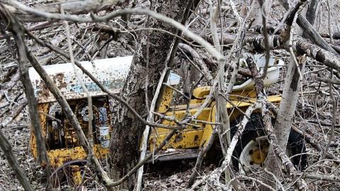 Hoarders - 24DB8373-35A3-43B6-88F4-160252BD0178.jpeg