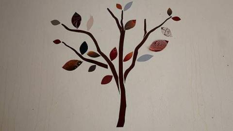 Photo from Lightning McQueen '18