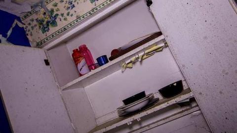 Markham White House - IMG_0113s.jpg