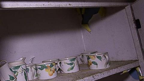 Markham White House - IMG_0115s.jpg