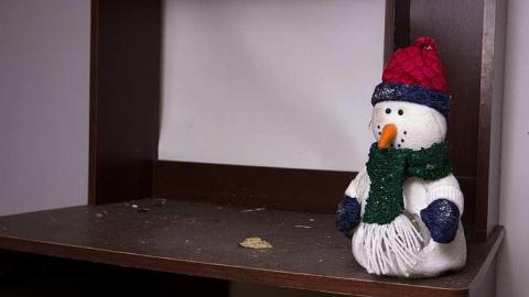 Markham White House - IMG_0119s.jpg