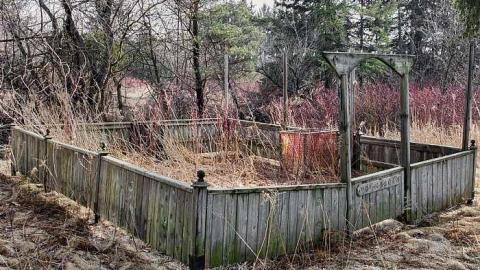 Markham White House - IMG_0178s.jpg