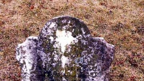 Rowan's Pioneer Cemetery photo 5