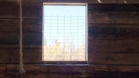 White & Charred April 2018 - IMG_0666.jpg