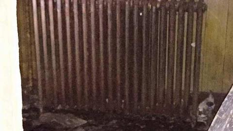 White & Charred April 2018 - IMG_0675.jpg