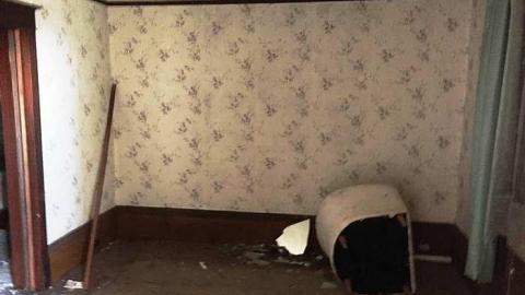 April 2018 Visit - IMG_0645.jpg