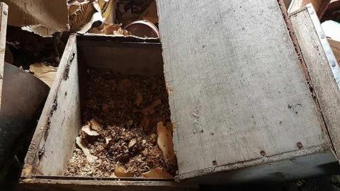 Photo from April 28th, 2018