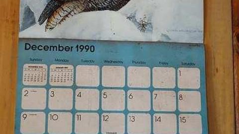 Flying High '18 - O6-4-A.K.A.-Flown-The-Coop32.jpg