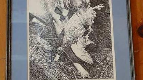 Flying High '18 - O6-4-A.K.A.-Flown-The-Coop43.jpg