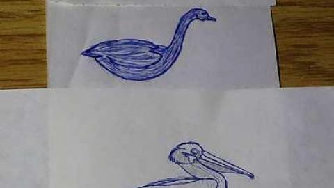 Photo from Flying High '18