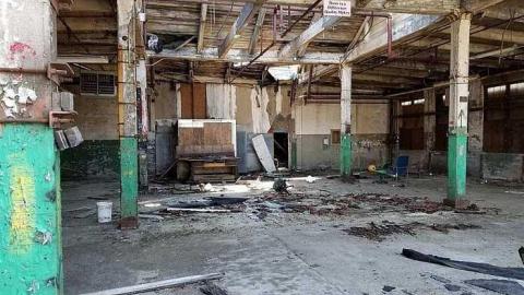 Silent Green - S-and-L-Plant14.jpg