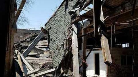 Silent Green - S-and-L-Plant44.jpg