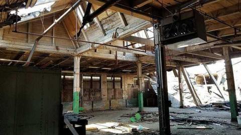 Silent Green - S-and-L-Plant64.jpg