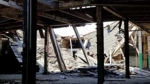 Silent Green - S-and-L-Plant47.jpg