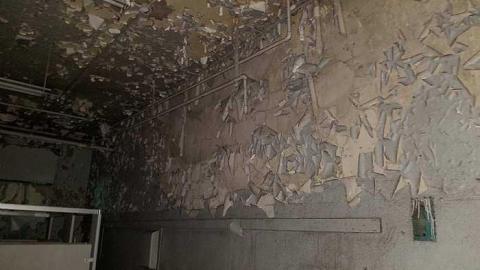 Silent Green - S-and-L-Plant78.jpg