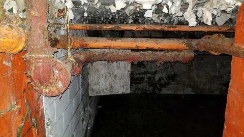 Silent Green - S-and-L-Plant67.jpg