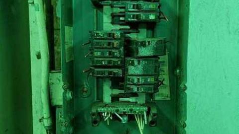 Silent Green - S-and-L-Plant54.jpg