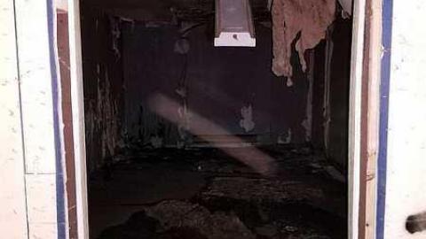 Silent Green - S-and-L-Plant82.jpg