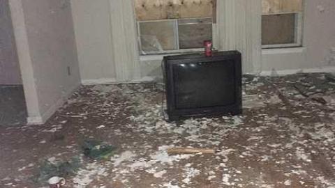 Just a few - 91F37EB8-E211-40DB-AD13-F9968196A082-2000.jpg