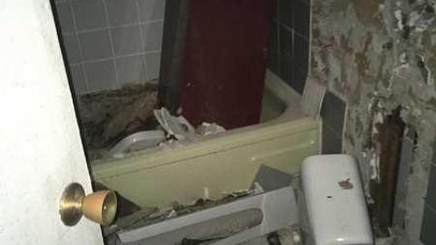 Just a few - 724ED47E-9633-47E7-BAD4-A6429916D577-2000.jpg