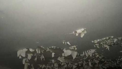 Just a few - A755C511-A825-4ABE-9A6F-7A17E00C2CD0-2000.jpg