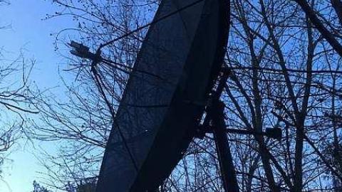 Just a few - F1CE7661-91E7-4F28-AFB0-B5EAEC4B6DCF-2000.jpg