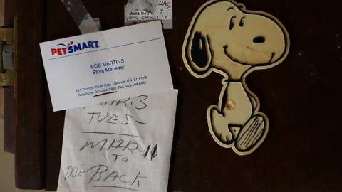 Dam Cruise '18 - O6-2-A.K.A.-Just-Cruising27.jpg