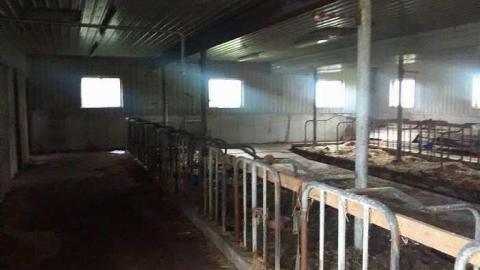 Dairy Barn - Elderslie-Home8.jpg