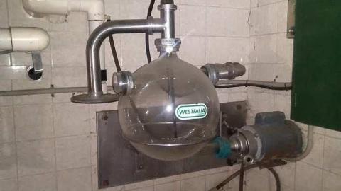 Dairy Barn - Elderslie-Home4.jpg