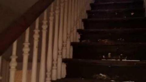 Old farm House - Elderslie-Home17.jpg