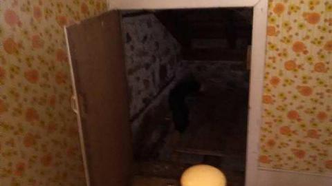 Photo from Old farm House