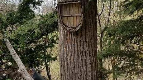 May 2018 - IMG_1998.jpg