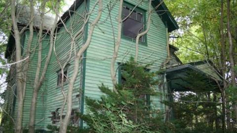 Green Victorian Farmhouse -2- - Big-Green11.jpg