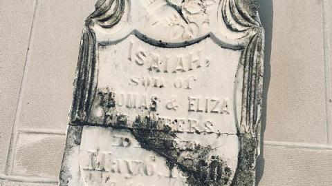 St George’s Cemetery  - Willoughby-Cemetery7.jpeg